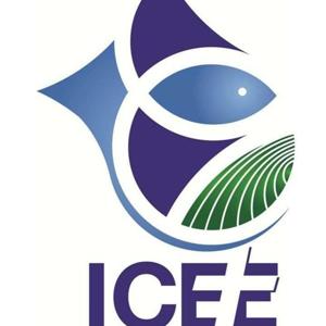 ICEE Oficial