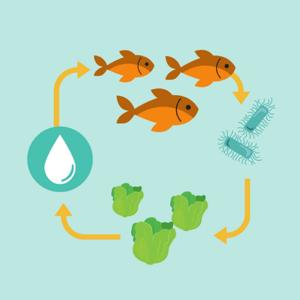 European Aquaponics Podcast