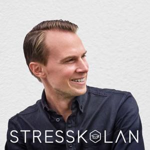 Stresskolan by André Sturesson