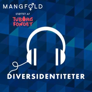 Diversidentiteter