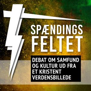 Spændingsfeltet