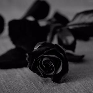 Black Roses & Poetry Podcast