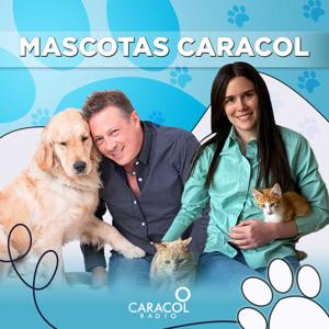 Mascotas Caracol by Caracol Pódcast