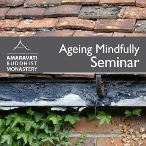 Ageing Mindfully Seminar 2012