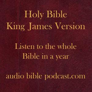 ABP - King James Version - Blended Mix - January Start