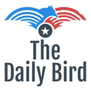 The Daily Bird