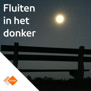 Hoorspel : Fluiten in het donker by NPO Luister