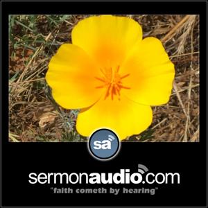 San Mateo Grace Church