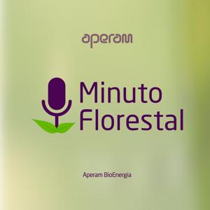 Aperam BioEnergia