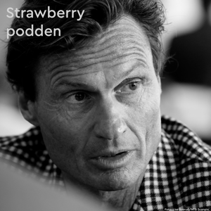 Petter Stordalen - Strawberrypodden by Strawberry