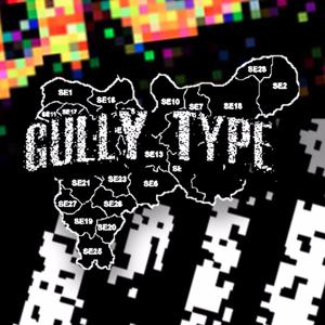 Gully Type Radio