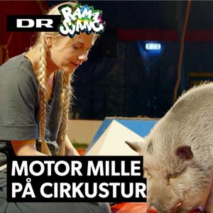 Motor Mille på Cirkustur