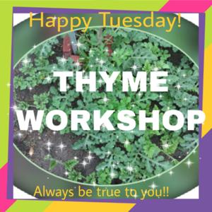 Thyme Workshop