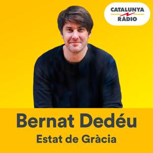 Ministre d'afers filosòfics, Bernat Dedéu