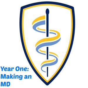 Year One: Making an MD