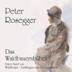 Waldbauernbübel, Das by Peter Rosegger (1843 - 1918)