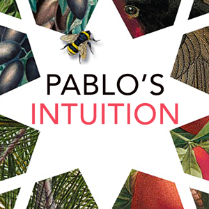 Pablo’s Intuition: The story of a young Spaniard’s awakening to his inner voice