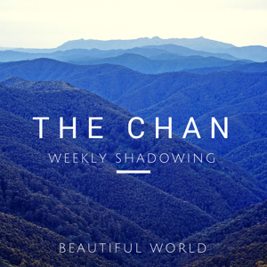 CHAN's Weekly Shadowing