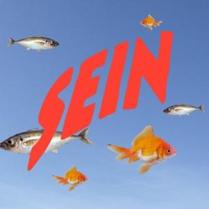 SEINpodcast