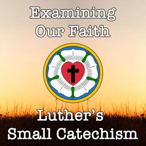 Small Catechism LIVE