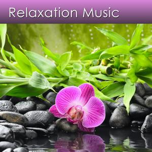 Music for Relaxing Deeply and Reducing Stress Now