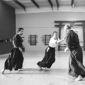 Aikido: Discussed