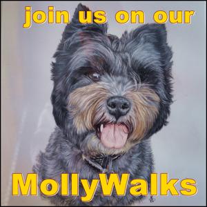 MollyWalks