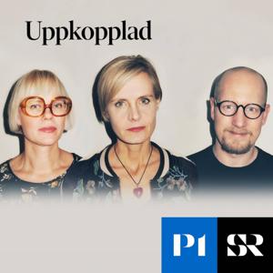 Uppkopplad