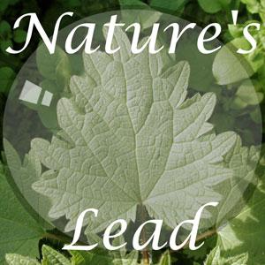 Nature's Lead