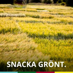 Snacka Grönt