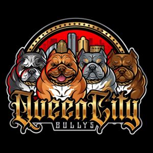 Queen City Bullys Podcast