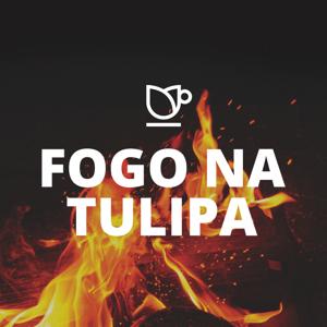 Fogo na Tulipa