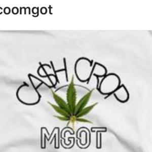 CASHCROP RADIO