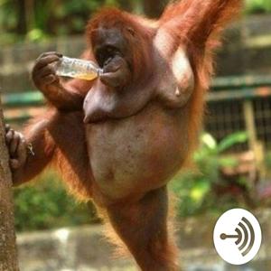 Don't let it pass you by