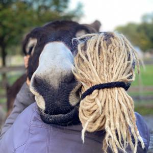 Podcast Aussteigen & Ankommen