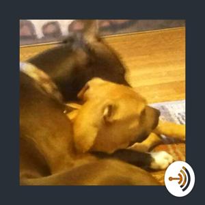 Parent Podcast