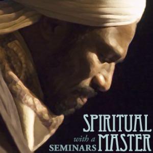 Seminars with a Spiritual Master