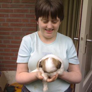 Crazy Dutchy, adventures and more