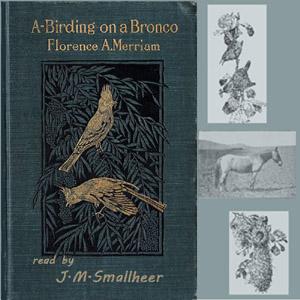 A-Birding on a Bronco by Florence A. Merriam Bailey (1863 - 1948)