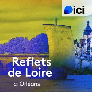 Reflets de Loire, ici Orléans