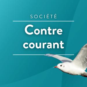 Contre courant by Véronique Alzieu,Madeleine Vatel,Véronique Macary,Odile Riffaud,Thierry Lyonnet,Anne Kerléo