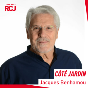 Côté jardin – Jacques Benhamou