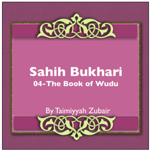 Sahih Bukhari The Book Of Wudu