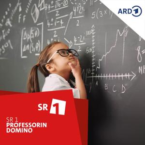 Professorin Domino by SR