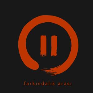 Farkındalık Arası