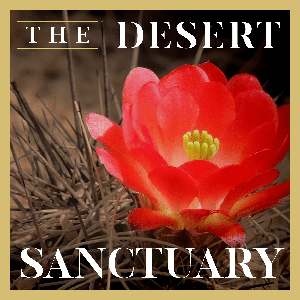 The Desert Sanctuary