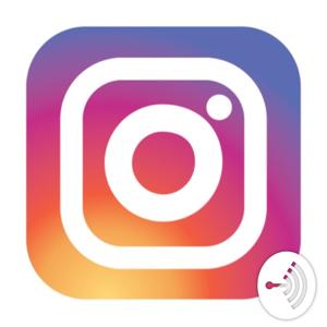 Everything Instagram
