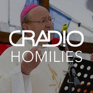 Homilies & Reflections – Cradio