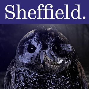 Sounds of the Birds by The University of Sheffield