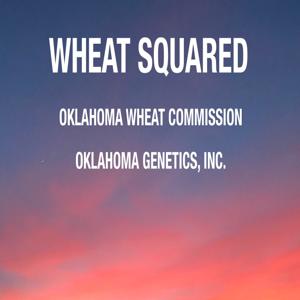 Wheat Squared